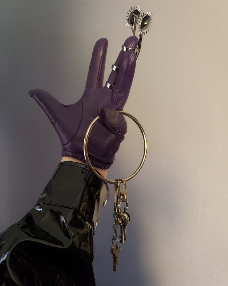 A photo of Domina V De Luxe